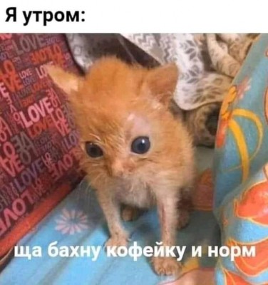 161749197_871872006714647_602940287785428585_n.jpg