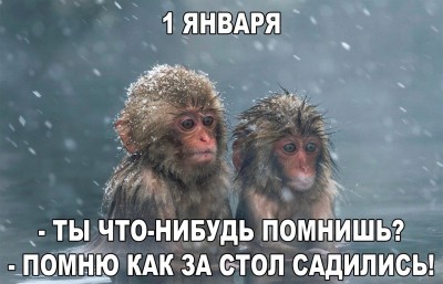 qLKVIRoWqkA.jpg