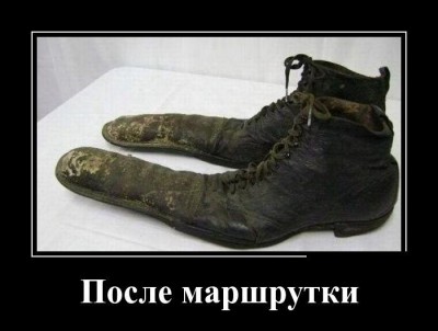 dlyakota.ru_demotivatory_demotivatory-dnya-ot-18-01-2015_1.jpeg