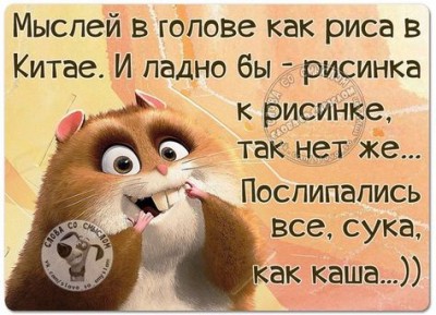 0e11473807d7a5c99b606d3f3d671891.jpg