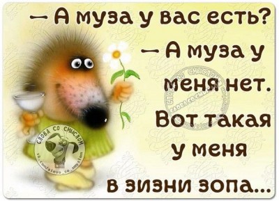 8ad03d2bb4a51f916f40f53ee1ac1cae--jokes.jpg