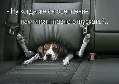 19a11085610f.jpg