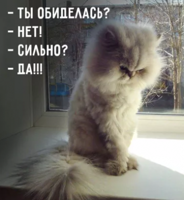 125478.png