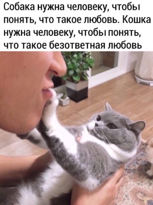 uJCBCqaKLXM.jpg