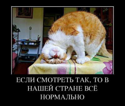 1364451631_demotivatory_24.jpg