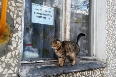 Mql-programmirovanie-otkryitie-i-modifikatsiya-orderov.jpg