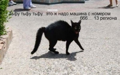 423084.jpg