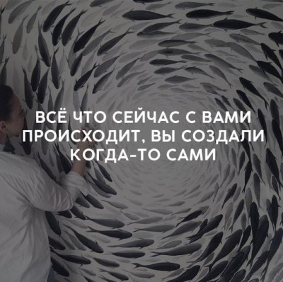 213040808_955316715262449_7706753784173603533_n.jpg