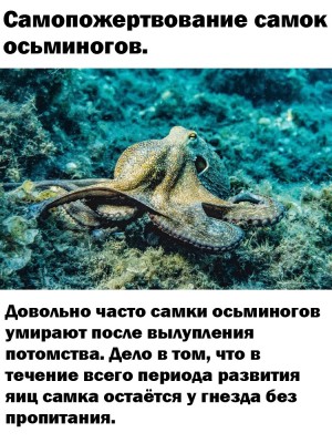 GSDxxnfDqt8.jpg