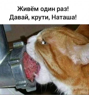 241765775_396601738567979_957468055278027772_n.jpg
