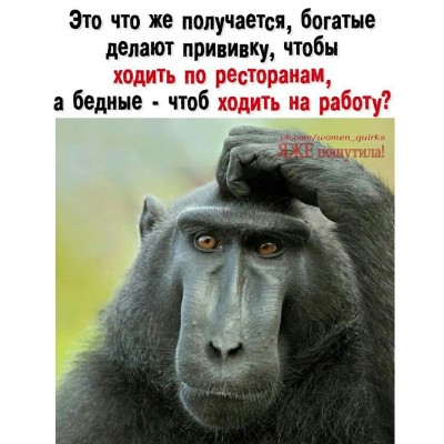 h-1436.jpg