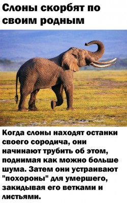 LK7yluAcqOg.jpg