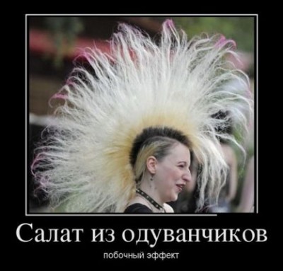 1339398770_demotivatory-22.jpg