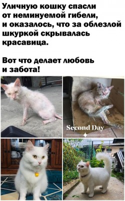 xjJ3nHW7hSY.jpg