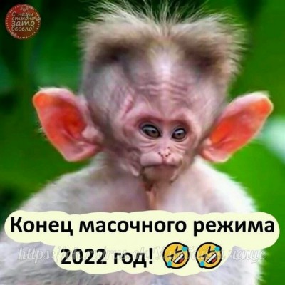242028583_816325975656394_9007012325412545045_n.jpg