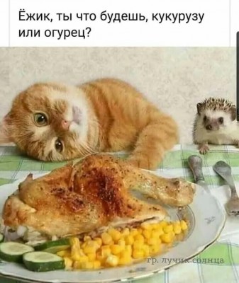 245311496_392369605670378_8024458142960265330_n.jpg