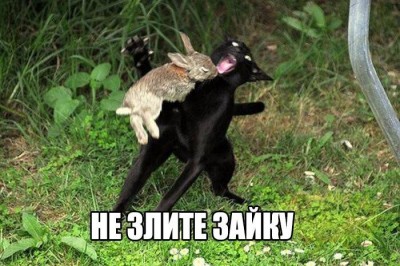 fullsize.jpg