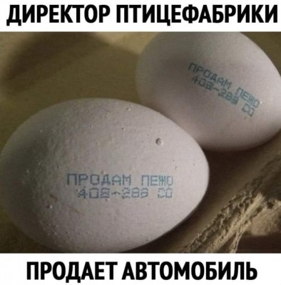 245950317_2713552622277913_2576233188244899848_n.jpg