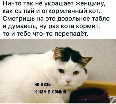 xyuCsM2VuG0.jpg