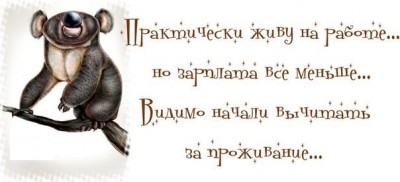 h-61633.jpg