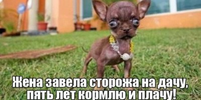 smeshnye-kartinki-s-nadpisjami-373.jpg