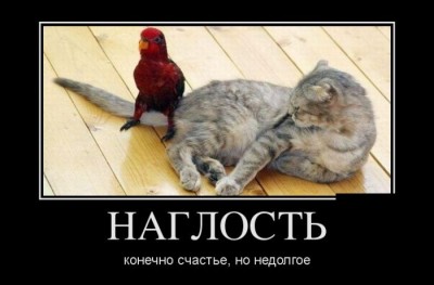 Демотиваторы-смешные-новые-очень-прикольные-и-ржачные-1.jpg