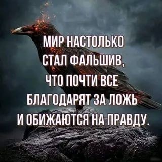 250915972_431472381880678_4864351921461977853_n.jpg