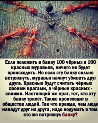 257345871_2739087016391140_3414803684273735635_n.jpg