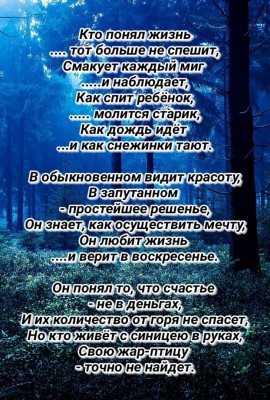 2cnBNM2JvrA.jpg