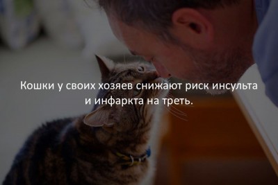 interesnye-fakty-v-kartinkax-39.jpg