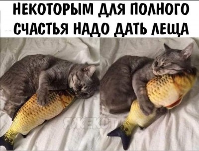 263581174_2747049498928225_1915335022617680656_n.jpg