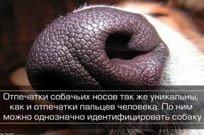 images (1).jpeg
