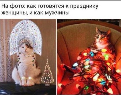 5555555.jpg