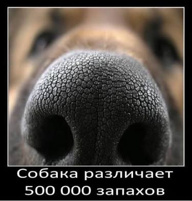 images (3).jpeg