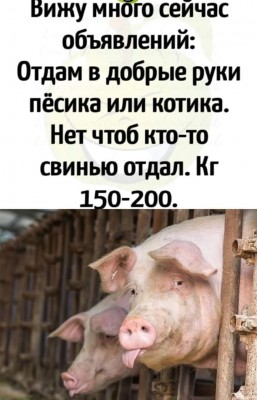 265159894_646029453061404_487750257037634207_n.jpg