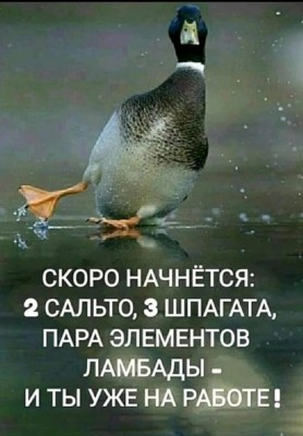 269493542_1079894239217438_9007869944835668430_n.jpg