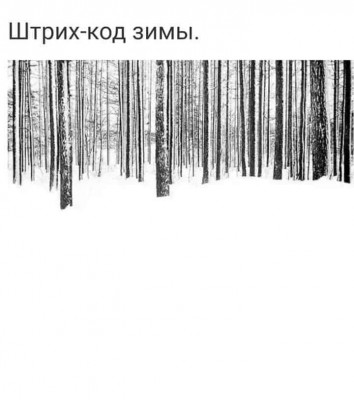 270046220_450159783385333_2886577886830403526_n.jpg