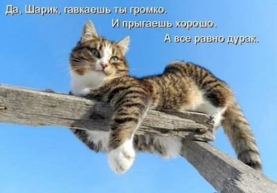 images (3).jpeg