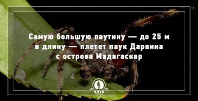 images (4).jpeg