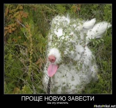 images (8).jpeg