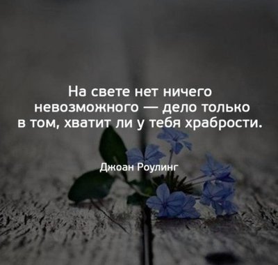 262917451_431201508504848_841097767716262119_n.jpg