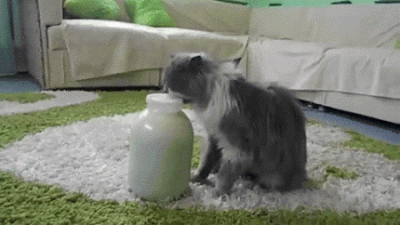 a789n5e7j4w70k70k3q.gif