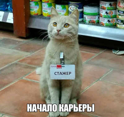 1572611130_1.jpg