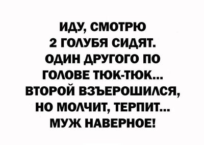 149571236_1358583841146328_3440829147036246109_o.jpg