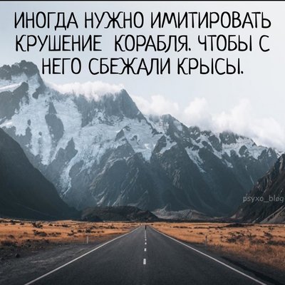 271362396_468446107978035_4707570573759543819_n.jpg