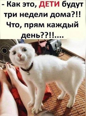 246799_20524.jpg