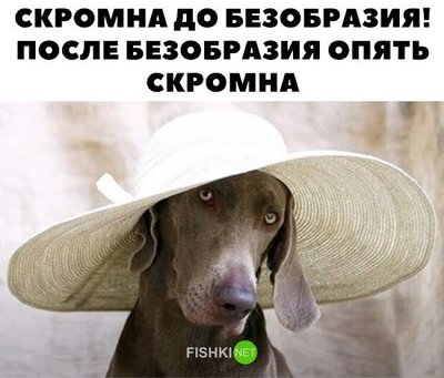 images-2.jpeg