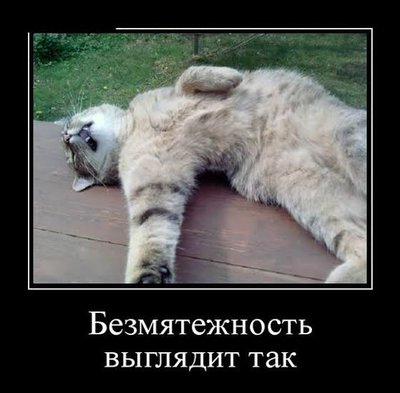 images-6.jpeg