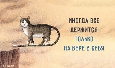 images-10.jpeg