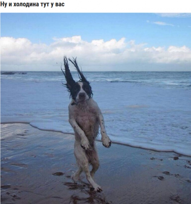 Untitled.png